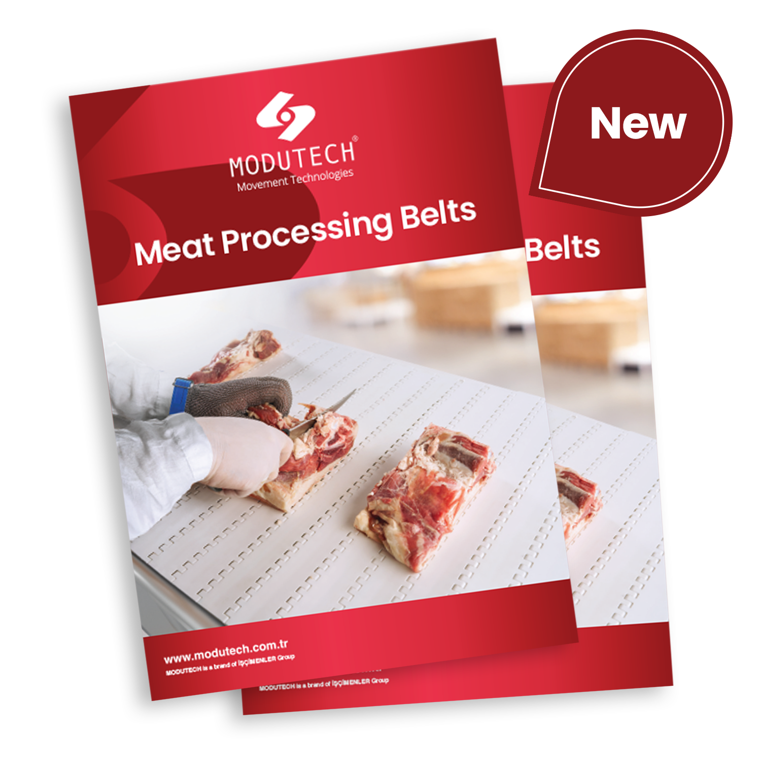 Meat Processing Belts