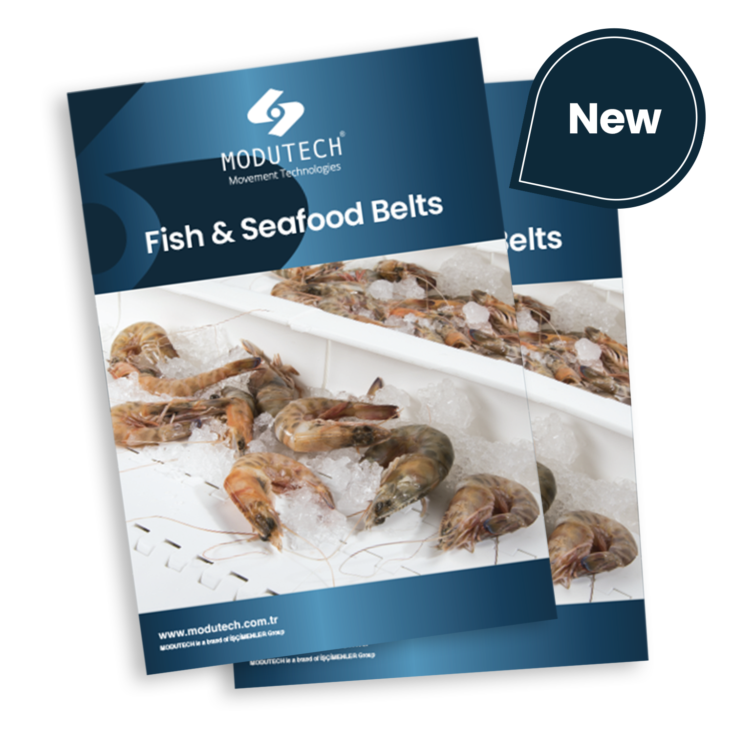 Fish and Seafood Belts