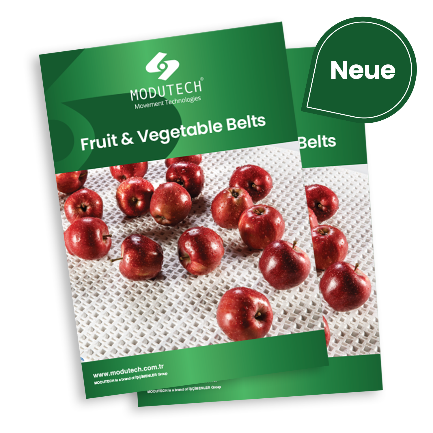 Bänder für die Ost- und Gemüseverarbeitung